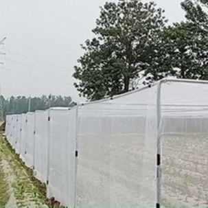 Red de insectos de 4 m de ancho, resistente a la ruptura, de HDPE negro, con 50 mallas