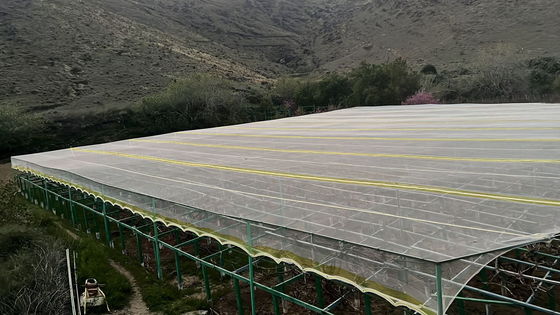 Redes agrícolas a prueba de insectos de HDPE tratadas con rayos UV proporcionan resistencia a las lágrimas