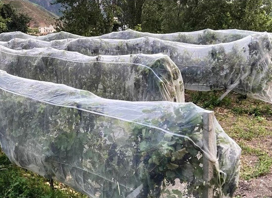 Redes de protección contra insectos de HDPE para invernaderos y protección de plantas